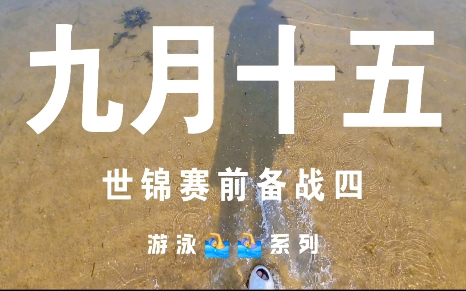 《游泳系列》