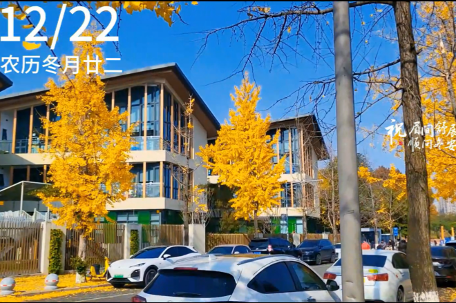 2025年冬训前篇（九）