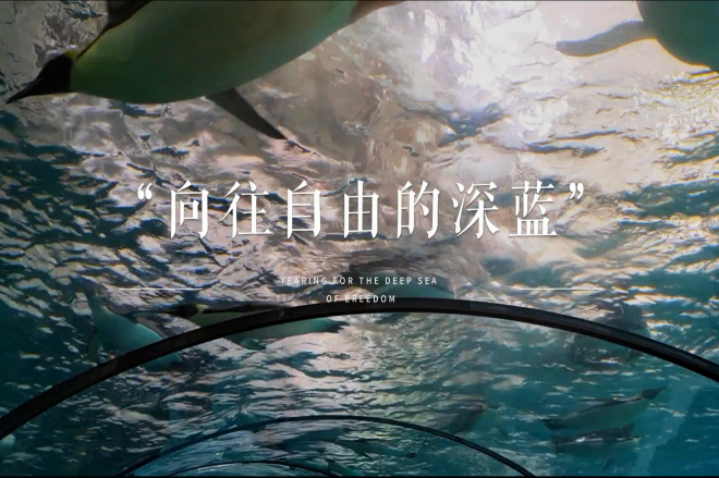 2025冬训纪录片二十四