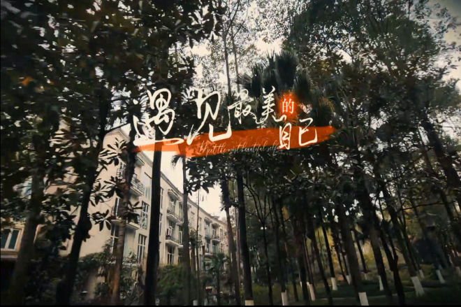 2025成长纪录片九