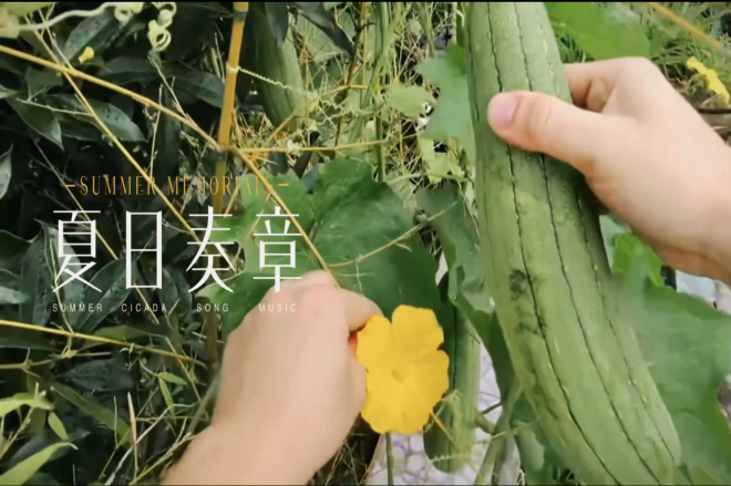 ​《骄阳淬锋芒、汗水铸辉煌》夏季异训二